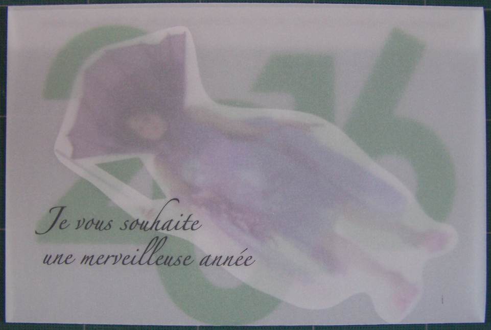 Photo de Faustine Audureau pour le portfolio sur laquelle on voit une enveloppe en calque sur laquelle est indiqué en script : « Je vous souhaite une merveilleuse année » et l’année 2016 en vert et dans une autre typographie. Dans cette enveloppe translucide est visible un personnage féminin déguisée en Fée des Lilas et imprimée sur du calque.